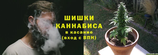 сатива Надым
