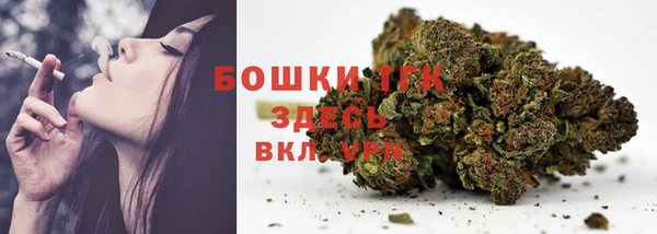 сатива Надым