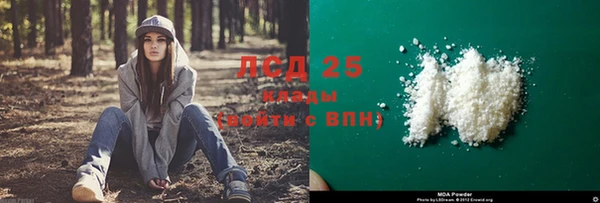 сатива Надым