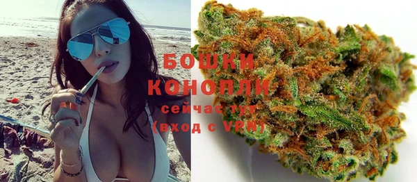 сатива Надым