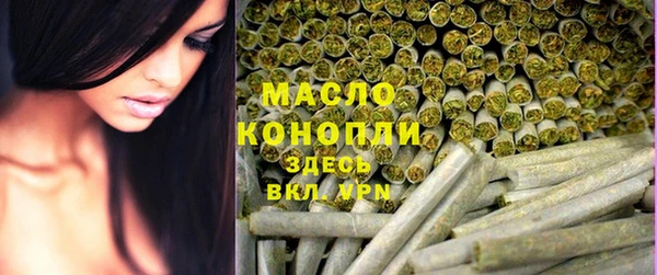 сатива Надым