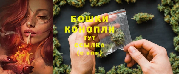 сатива Надым