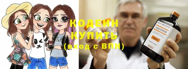 сатива Надым