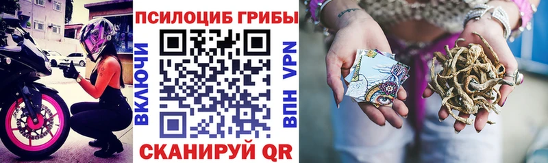Псилоцибиновые грибы прущие грибы  даркнет сайт  Рубцовск 