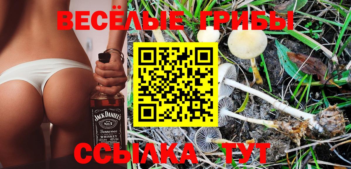 Галлюциногенные грибы мухоморы  что такое   Рубцовск 