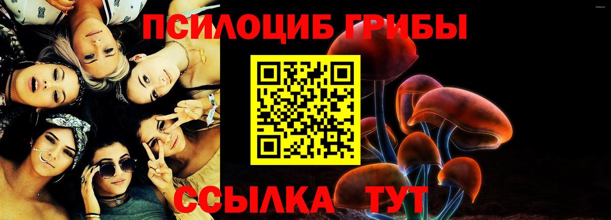 Псилоцибиновые грибы Magic Shrooms Рубцовск